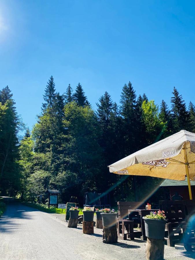 Penzion Lesni Zatisi- Harrachov Exterior foto