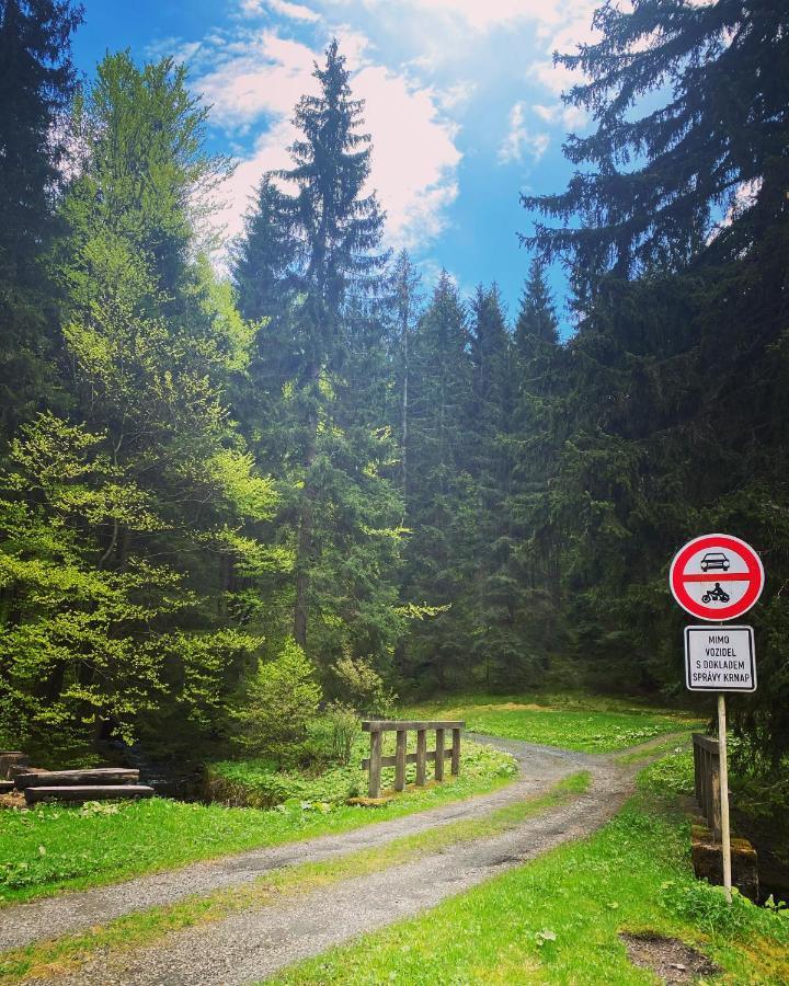 Penzion Lesni Zatisi- Harrachov Exterior foto