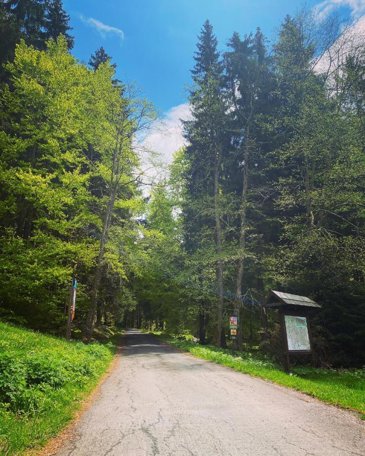 Penzion Lesni Zatisi- Harrachov Exterior foto