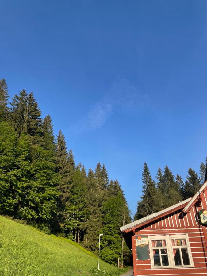 Penzion Lesni Zatisi- Harrachov Exterior foto