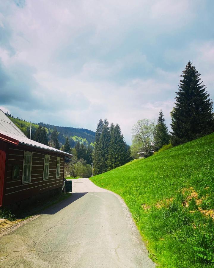Penzion Lesni Zatisi- Harrachov Exterior foto