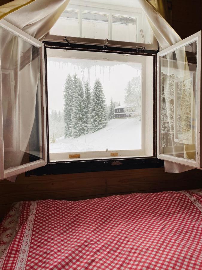 Penzion Lesni Zatisi- Harrachov Exterior foto