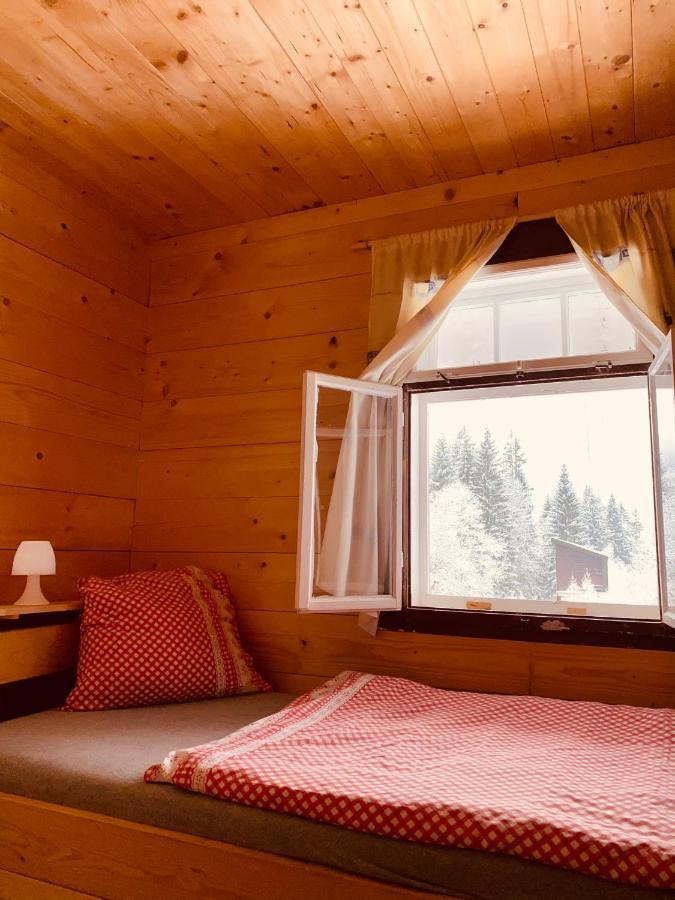Penzion Lesni Zatisi- Harrachov Exterior foto